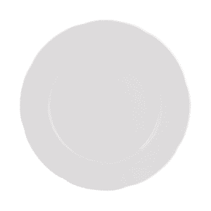 Flat Plate 24.5 CM. N0302